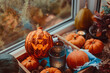 © okrasiuk - Halloween cozy mood composition on the windowsill. Lighting jack-o-lantern, decorative pumpkins, cones, candles on wooden tray and straw napkin, warm plaid. Hygge halloween home decor. Selective focus
