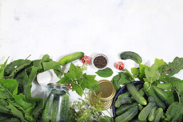 Wall Mural - Cucumbers and ingredients for pickling them, home canning concept, Cucumbers, dill, garlic, currant leaves, cherries, horseradish, oak and basil, rustic pickling recipe, healthy and natural food.