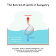 The forces at work in buoyancy. Gravity and Buoyancy.