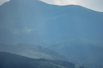 Wall Mural - carpathian mountains and forests in the haze on a summer day
