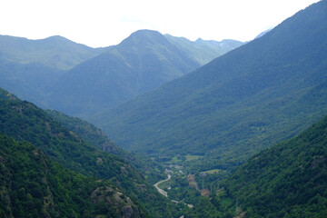 Landscape of hills covered in trees under the bright sky