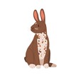 Cute rabbit of English spot breed. Spotty bunny sitting. Portrait of happy animal with ears. Realistic coney pet. Flat vector illustration isolated on white background