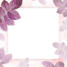 Pink Foliage Pattern Frame Vector