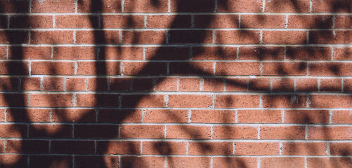 Brick wall background. Wide panorama of shadow and light of branches  tree on old red texture brick wall, Minimal natural banner backdrop