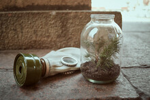 Gas Mask Lies Near A Green Plant Growing In An Jar