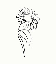 The Abstract Flower Is Drawn By Hand In A Continuous Line. Minimalist Style.