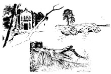 A Set Of Three Black And White Landscapes With An Old House, Trees, Driftwood, Boats And A Lake. Vector Illustration.