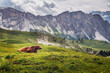 Alpejska krowa na tle gór leżąca na zielonej trawie Dolomity Alpy