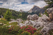 Widok z Cinque Torri Dolomty Alpy
