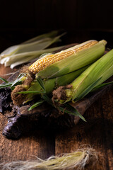 Wall Mural - Fresh raw corn cobs on a wooden background. Healthy food, vegetarianism concept.