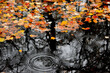 Autumn leaves floating over the water