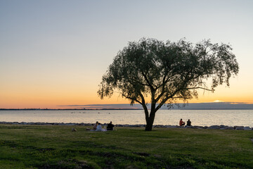 Sticker - people relax in a coastal park in Tallinn at sunset and enjoy a summer evening