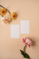 Wall Mural - Blank paper sheet card with mockup copy space and narcissus and rose flowers on neutral dusty peachy background. Minimal aesthetic business brand template. Flat lay, top view
