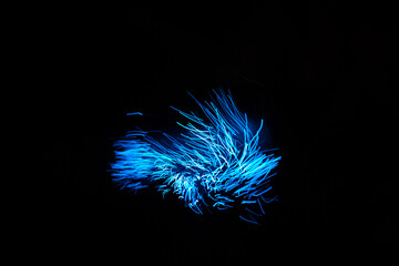 Wall Mural - blue abstract particles and lines with bokeh and blur in dark background.