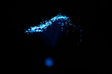 Wall Mural - blue abstract particles and lines with bokeh and blur in dark background.