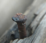 Fototapeta  - rusty nail with the head sticking out of the board