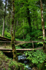 Sticker - Passerelle sur le Dessoubre dans le cirque de Consolation, Doubs, France