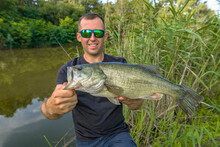 Bass Fishing. Big Bass Fish In Hands Of Pleased Fisherman. Largemouth Perch At Pond