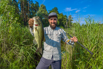 Wall Mural - Bass fishing. Big bass fish in hands of pleased fisherman with spinning rod. Largemouth perch at pond