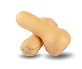 Wall Mural - butternut squash isolated on white background