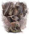 The Elephant Family. Watercolor drawing