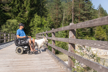 Wall Mural - Disabled man on wheelchair with his dog on a trip in nature.