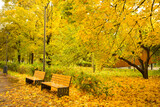 Fototapeta  - Autumn Landscape In Park With Wooden Benches With Yellow Leaves On Walkway.