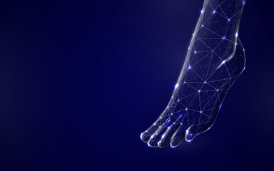 Poster - 3d Human feet from lines, triangles and particle style design. Illustration vector