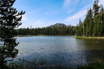 Wall Mural - Lassen Volcanic National Park, California USA