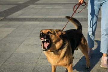 woman with her aggressive dog outdoors, closeup