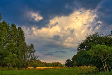 Wall Mural - Natur Outdoor sunny day no people