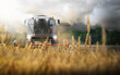 Combine harvester tractor treshing in a wheat field farming with dark clouds an thunderstorm