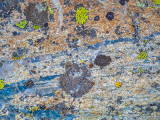 Stone rock texture with green moss and lichen in Norway.