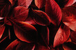 © Anntuan - Autumn red bright colorful leaves background. Creative layout for design.