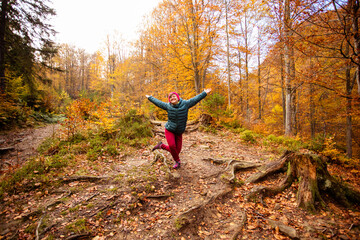 Wall Mural - Happy woman hiker is walking in the beautiful autumn forest