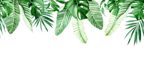 Wall Mural - watercolor seamless border, frame with green tropical leaves. palm leaves, monstera, banana leaves isolated on white background. pattern, print, web banner