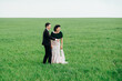 © omelnickiy - the groom in a brown suit and the bride in an ivory-colored dress on a green field