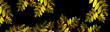 Banner with gold leaves on black background. Outumn. 