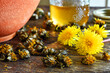 A close up image of a jar of home made dandelion syrup with both fresh and dried dandelions on a wooden vintage table. 