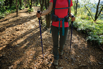 Wall Mural - woman hiking in summer forest mountain