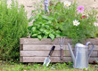 aromatic plant and and flowers in a wooden gardener with gardening tools