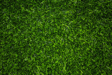 Canvas Print - top view artificial green grass texture for background