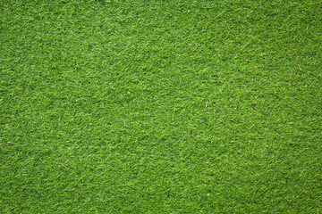 Wall Mural - green grass background and texture