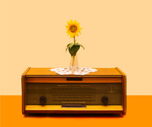 An Antique Radio With Lovely Sunflower In The Middle In Transparent Glass Vase On It. Minimal Retro Arrangement Against Beige And Terracotta Background.