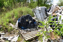 Dzikie Wysypisko śmieci, Katastrofa Ekologiczna,