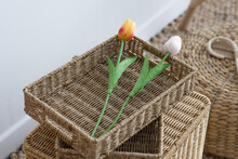 Two Tulip Flower In Rattan Wooden Basket.