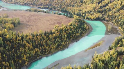 Wall Mural - aerial video of the beautiful Kanas in autumn, the famous tourist attraction of Xinjiang, China.
