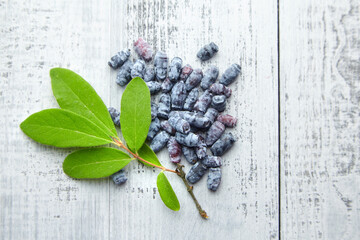 Wall Mural - Honeyberry or haskap berries with fresh green leaves on grey wooden background