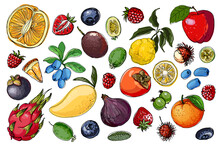 Fruits Food Vector. Color Sketch Of Products. Decor For Kitchen And Restaurant. Farm Fruits And Berries.