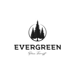 Wall Mural - vintage retro hipster pine tree evergreen logo design vector